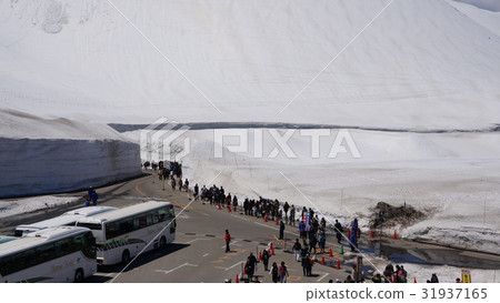 Snow Otani Snow Otani 31937165