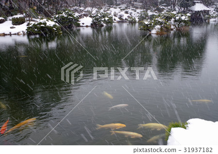 Snow makeup Hiroshima Shukkeien Snow makeup Hiroshima Shukkeien 31937182