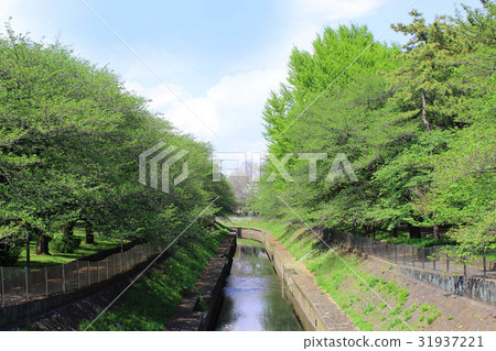 Wada Hori公園新鮮的綠色 31937221