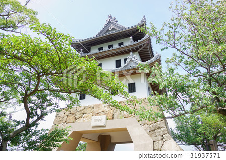 淡路島城堡塔和洲本城堡 31937571