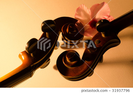 Two old violin slides, details in the morning ligh Two old violin slides, details in the morning ligh 31937796