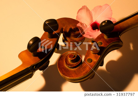 Two old violin slides, details in the morning ligh Two old violin slides, details in the morning ligh 31937797