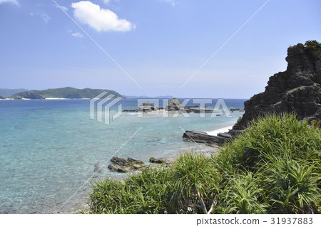 Anqing name Shimoshima Anqing name Shimoshima 31937883