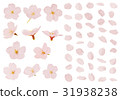 Sakura _ petals 31938238