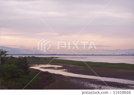 The rain has gone up in the twilight pine trees tideland 31938608