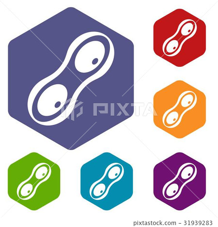 Peanut pods icons set hexagon Peanut pods icons set hexagon 31939283