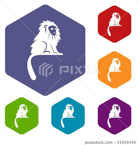 Hairy monkey icons set hexagon Hairy monkey icons set hexagon 31939359
