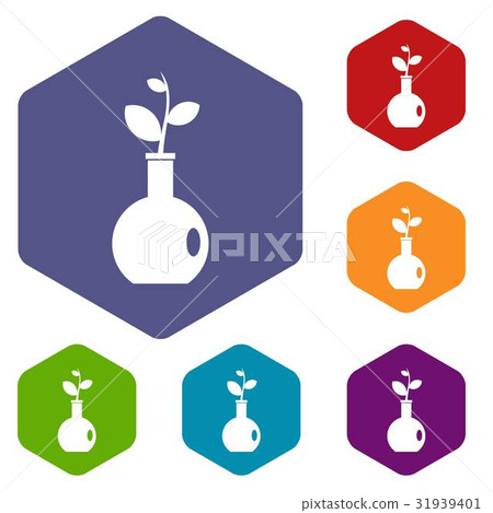Plant in a vase icons set hexagon 31939401