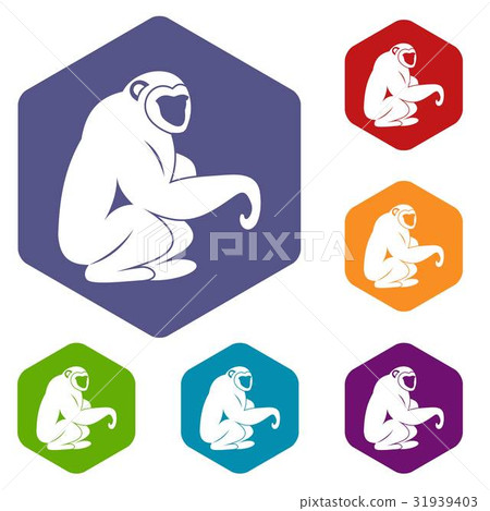 Monkey sitting icons set hexagon 31939403