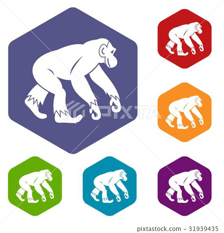Monkey standing icons set hexagon Monkey standing icons set hexagon 31939435