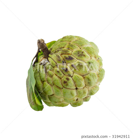 custard apple isolated on white background. custard apple isolated on white background. 31942911