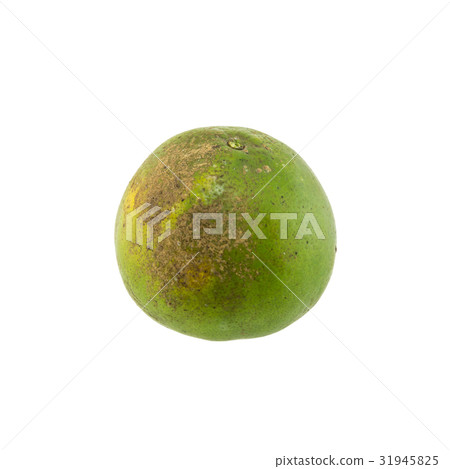 Green orange fruit isolated on white background Green orange fruit isolated on white background 31945825