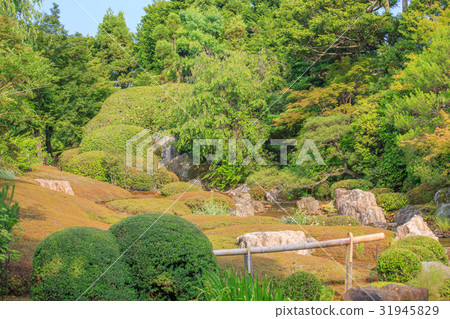 Kyoto · Myoshinji Temple Gardens Kyoto · Myoshinji Temple Gardens 31945829