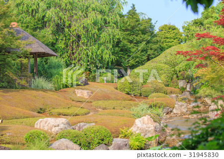 Kyoto · Myoshinji Temple Gardens 31945830