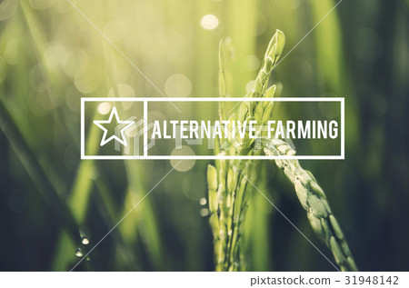 Alternative Farming Sustainable Nature Concept Alternative Farming Sustainable Nature Concept 31948142