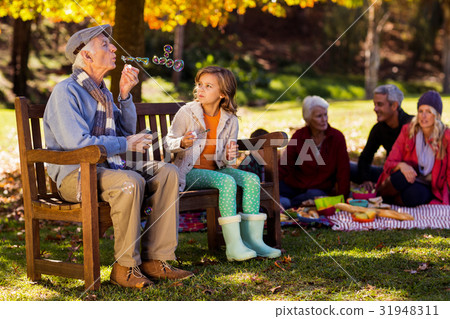 Grandfather blowing bubbles with granddaughter at park 31948311
