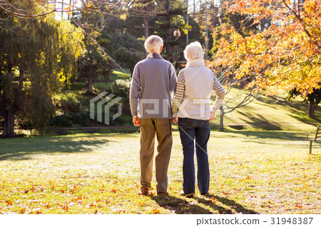 Senior couple holding hands Senior couple holding hands 31948387
