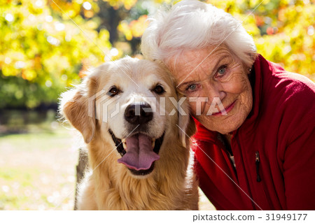 Portrait of elderly woman sitting with dog 31949177