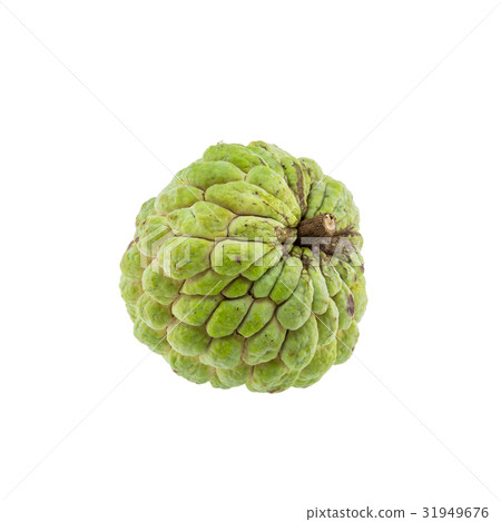 custard apple isolated on white background. custard apple isolated on white background. 31949676