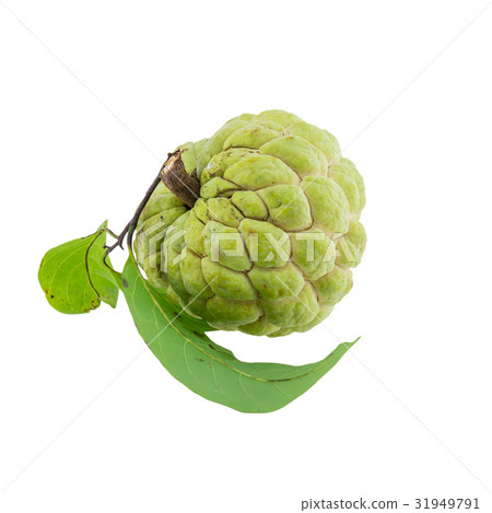 custard apple isolated on white background. 31949791