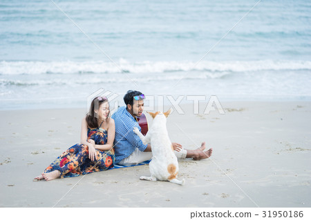 A girl is looking her boyfriend playing with the dog on the beach A girl is looking her boyfriend playing with the dog on the beach 31950186