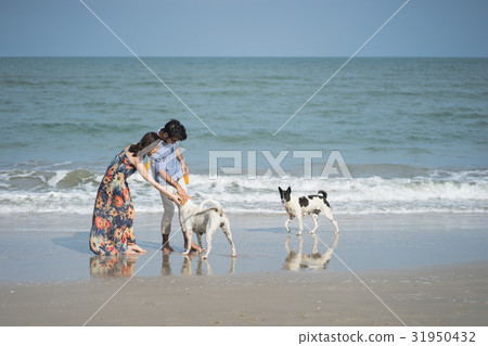A photo of a couple touching dogs on the beach. A photo of a couple touching dogs on the beach. 31950432