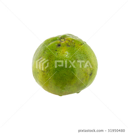 Green orange fruit isolated on white background Green orange fruit isolated on white background 31950480