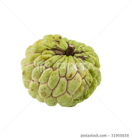 custard apple isolated on white background. custard apple isolated on white background. 31950838