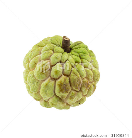 custard apple isolated on white background. custard apple isolated on white background. 31950844