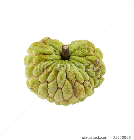 custard apple isolated on white background. 31950906