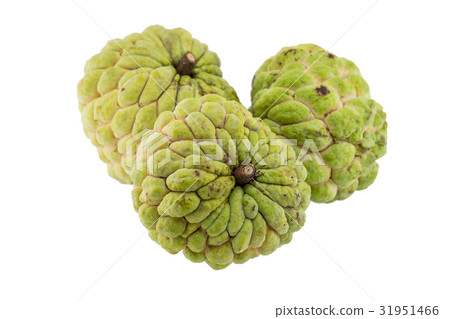 custard apple isolated on white background. 31951466