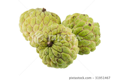 custard apple isolated on white background. 31951467
