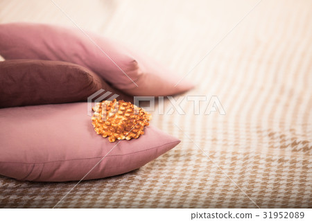 Fresh biscuits, lies on the pillow that lies on Fresh biscuits, lies on the pillow that lies on 31952089