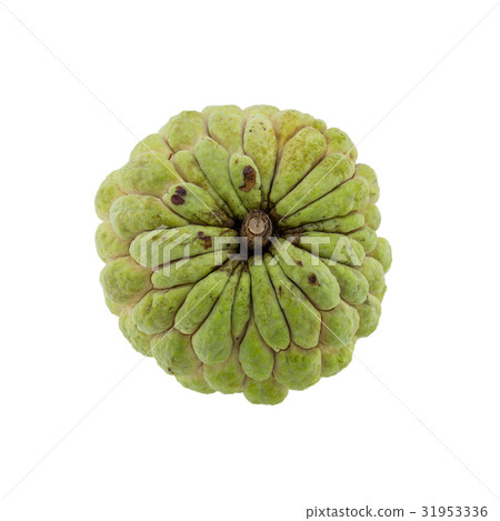custard apple isolated on white background. custard apple isolated on white background. 31953336