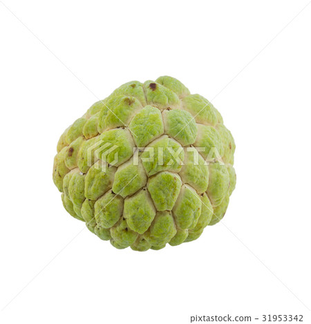 custard apple isolated on white background. custard apple isolated on white background. 31953342