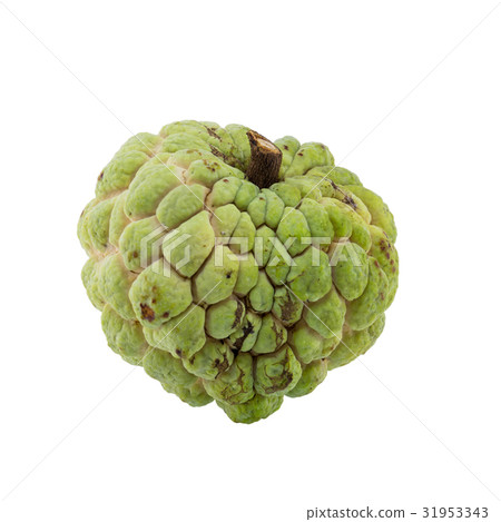 custard apple isolated on white background. custard apple isolated on white background. 31953343