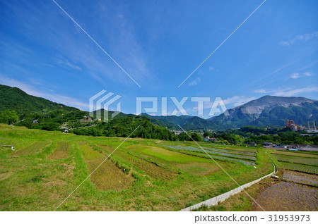 六月在雨季的梯田稻田俯瞰街道和mt Mountain山的背景我超廣角 照片素材 圖片 圖庫