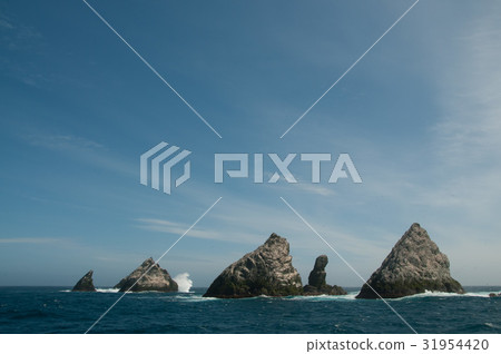 The Shag Rocks 31954420