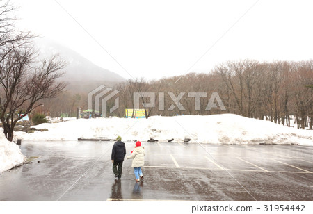 Winter snow Jeju Island  South Korea 31954442