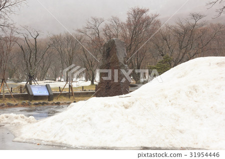 Winter snow Jeju Island South Korea Winter snow Jeju Island South Korea 31954446