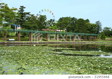 Okazaki City Minami Park Okazaki City Minami Park 31955948
