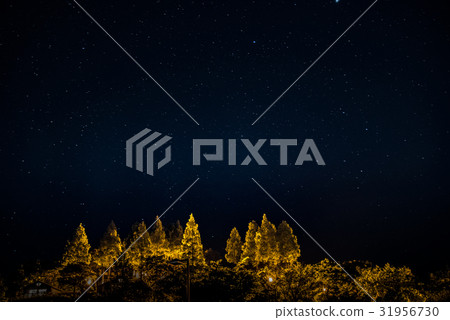 全明星天空之星和小屋（松江市新義福故鄉森林公園） 31956730