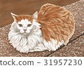 Cat Illustration 31957230