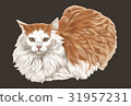 Cat Illustration 31957231