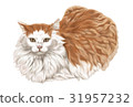 Cat Illustration 31957232