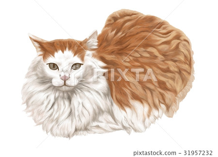 貓圖 31957232