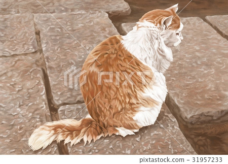 Cat Illustration Cat Illustration 31957233