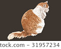 Cat Illustration 31957234