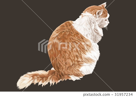 Cat Illustration Cat Illustration 31957234