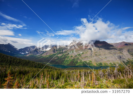 Glacier Park 31957270